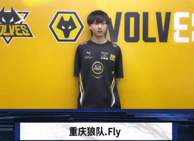 的副将